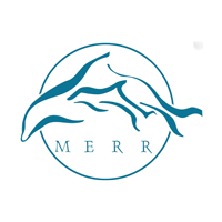 Finraiser - logo